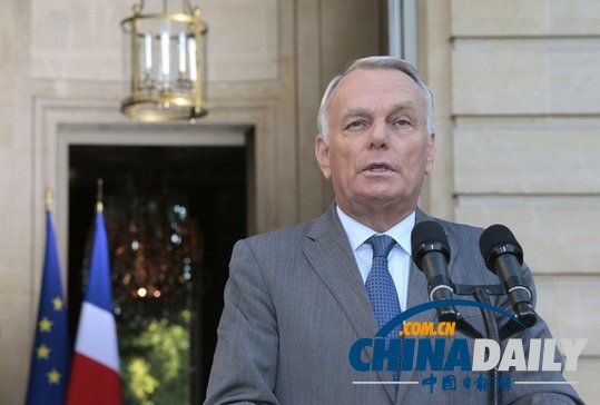 法公布敘政府使用化武證據 稱敘反對派無能力發(fā)動襲擊