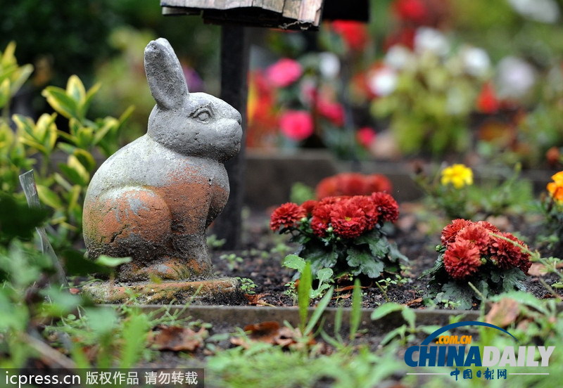 組圖：緬懷“家庭至親” 德國(guó)寵物墓地頗受歡迎