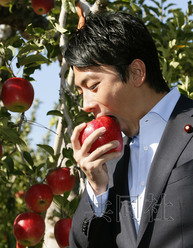 日本前首相小泉之子赴福島視察 在果園品嘗蘋(píng)果