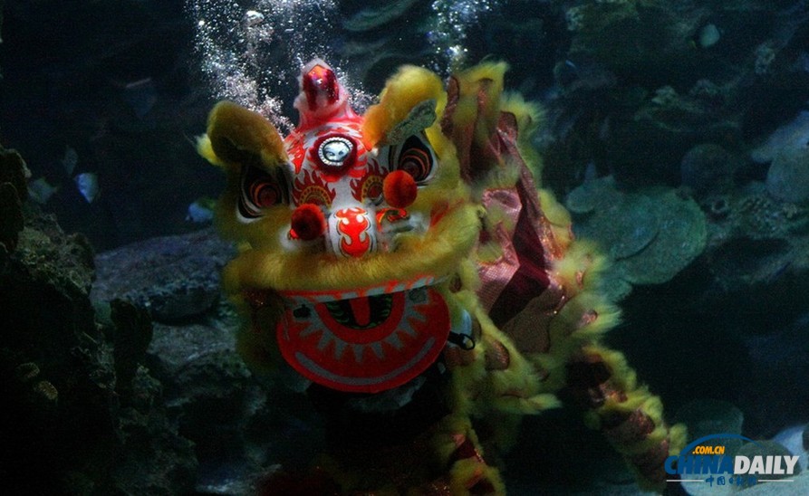 水下舞獅財(cái)神拜年 馬來(lái)西亞一水族館喜迎中國(guó)年