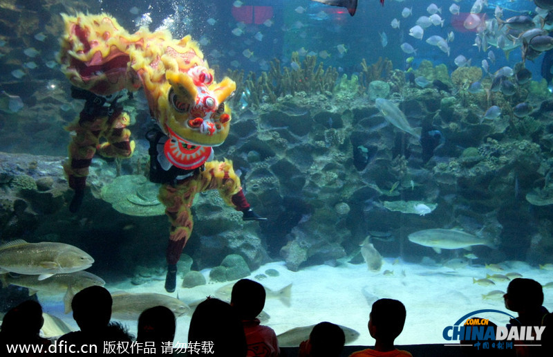 水下舞獅財(cái)神拜年 馬來(lái)西亞一水族館喜迎中國(guó)年
