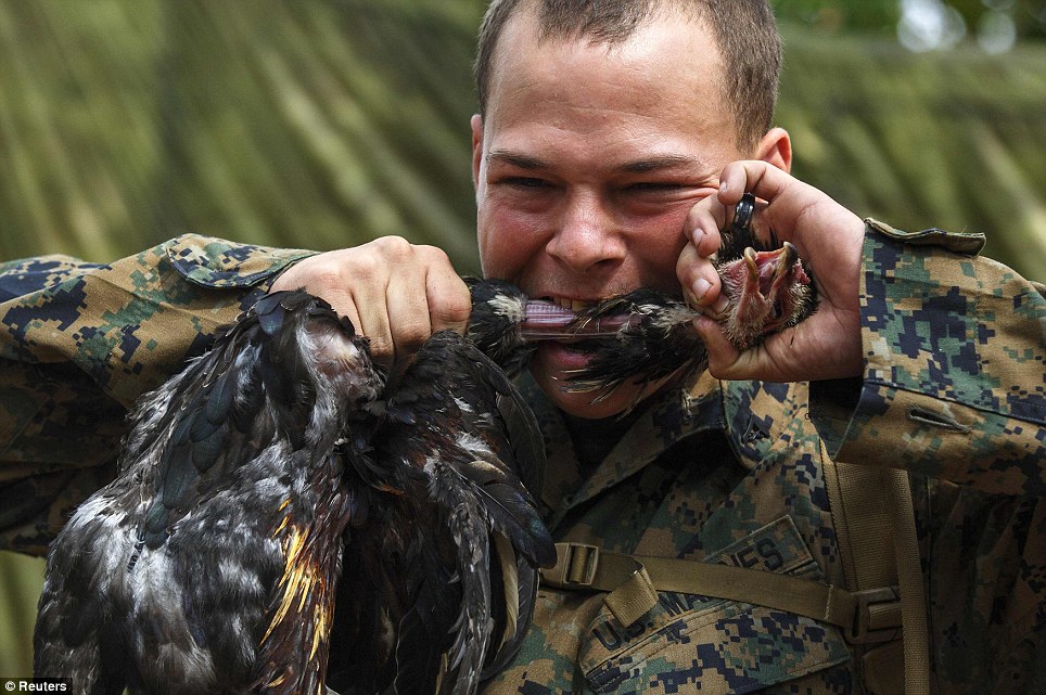 美國海軍陸戰(zhàn)隊生存訓練：喝蛇血、吃蝎子
