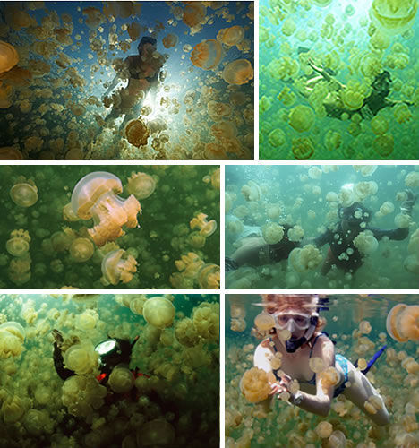 Nature's swimming pools