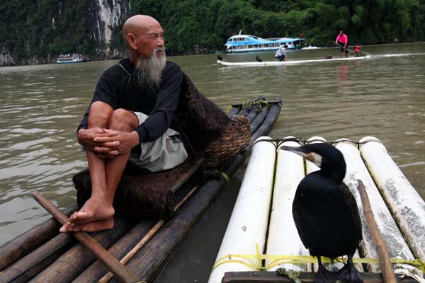 Enterprising villagers lure visitors with comorants