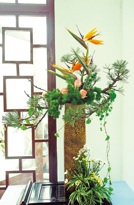 Blooming history