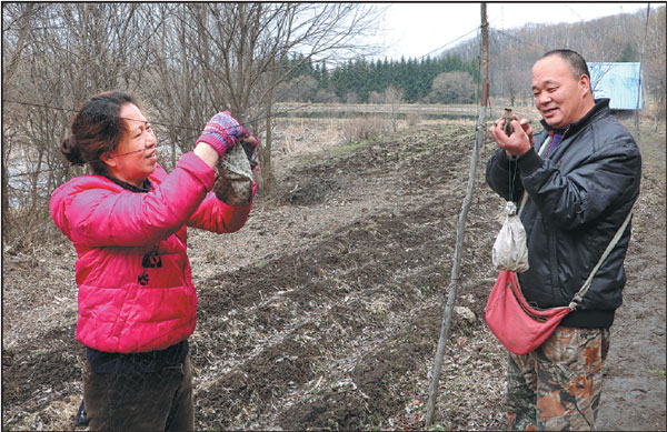 Banders brave elements for migration studies