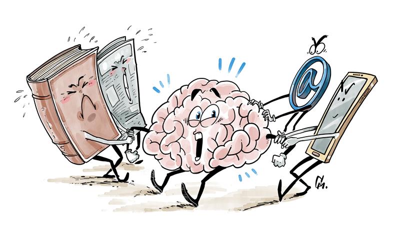 The split brain