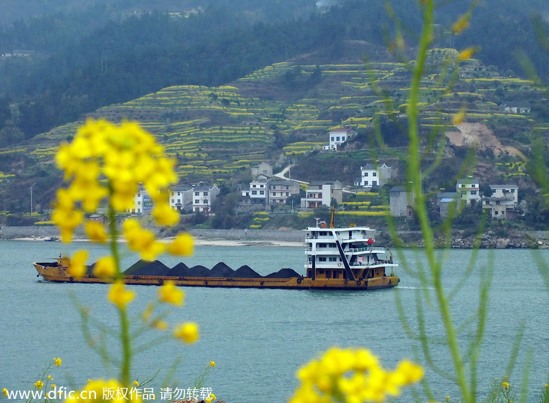 Forum trends: Foreign impressions of China's cities