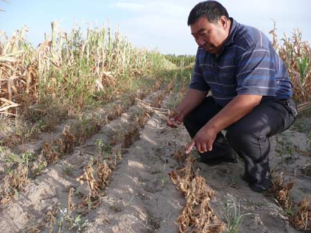 Droughts hit central and northern China
