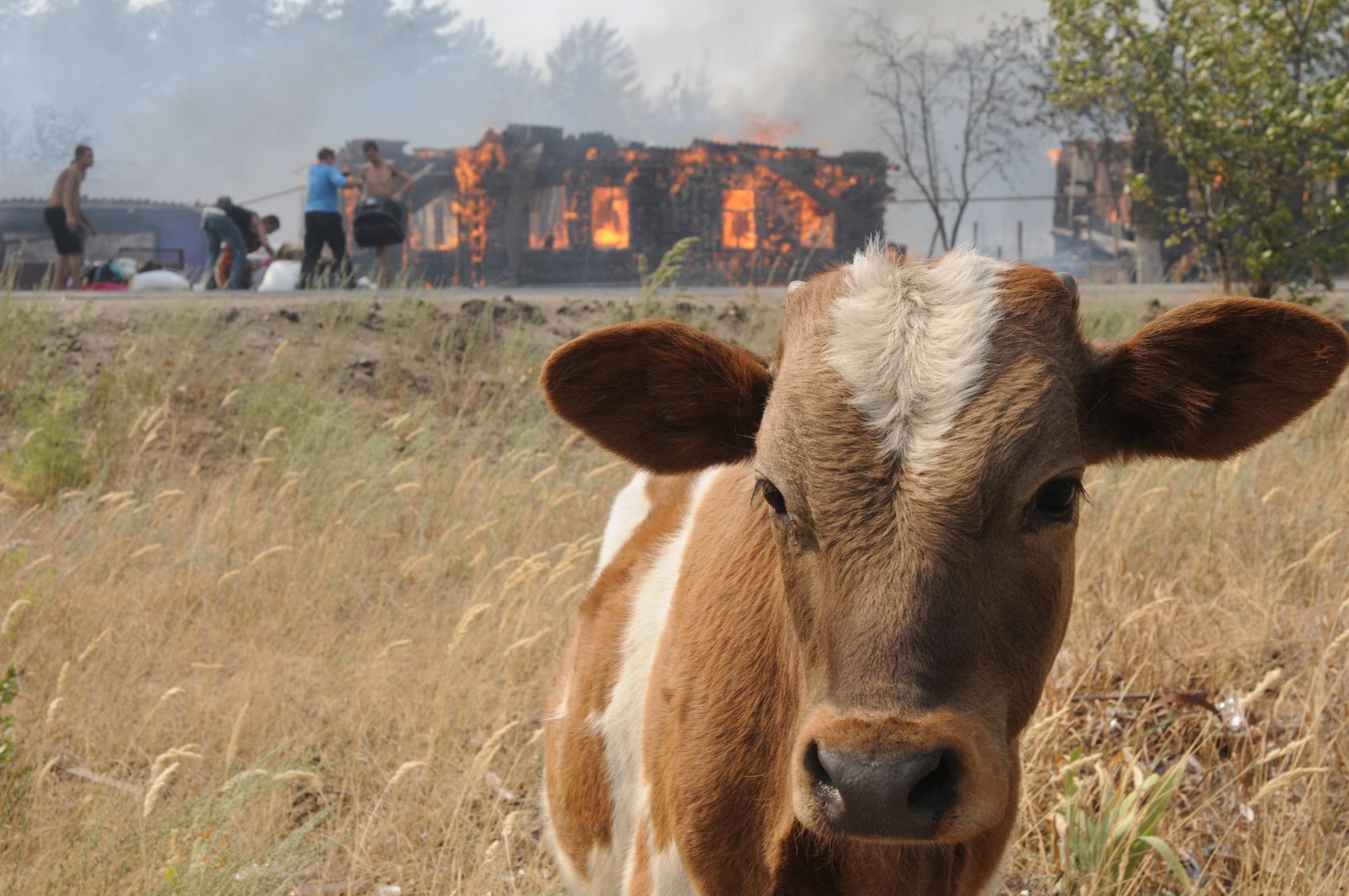 Lingering drought causes fire in Russia