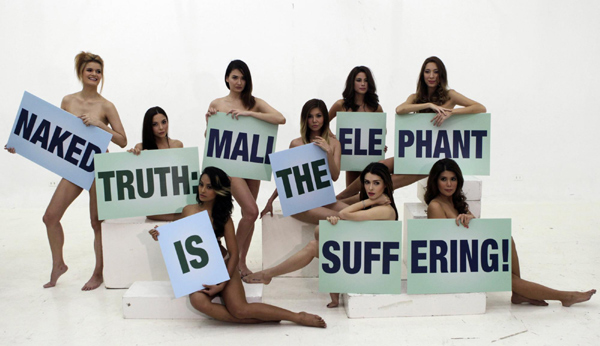 Models working for People for the Ethical Treatment of Animals (PETA) hold placards as they pose for photographers inside a photo studio during PETA's campaign for the transfer of an elderly elephant named 'Mali' in Makati, Metro Manila Feb 5, 2013. Activists strip naked for Mali