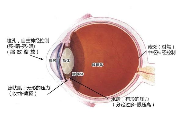 明基不閃屏關(guān)愛兒童眼部健康 這個兒童節(jié)把“愛”帶走