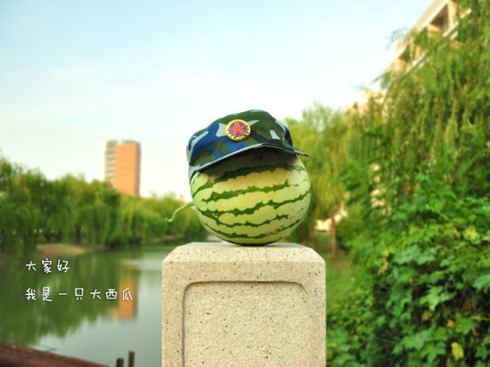 學(xué)生軍訓(xùn)西瓜君走紅網(wǎng)絡(luò) 賣(mài)萌搞笑惹人愛(ài)(組圖)