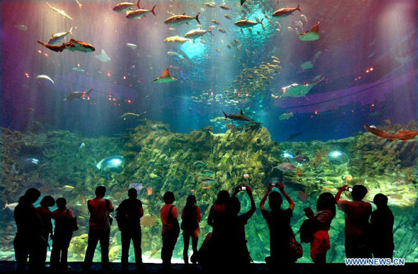HK Ocean Park awarded as world best theme park