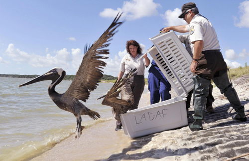 US says accepting foreign help with Gulf oil spill