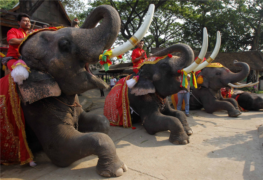 National Elephant Day in Thailand