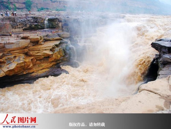 黃河壺口波濤洶涌 呈現(xiàn)夏季獨有奇觀