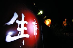 湖南瀏陽市鎘污染化工廠被永久關(guān)閉(圖)