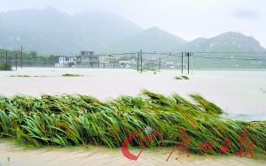 臺(tái)風(fēng)巨爵造成廣東百萬(wàn)人受災(zāi)1人失蹤(組圖)