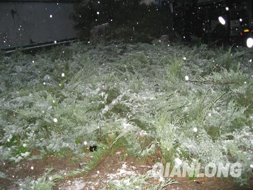 京城迎來(lái)今年第一場(chǎng)降雪 城區(qū)氣溫驟降(圖)