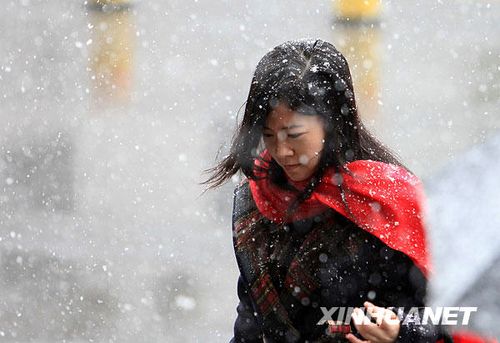 北京受降雪影響部分航班延誤 已啟動(dòng)應(yīng)急預(yù)案