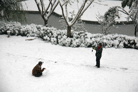 濟(jì)南迎來今冬首場(chǎng)大到暴雪（圖）