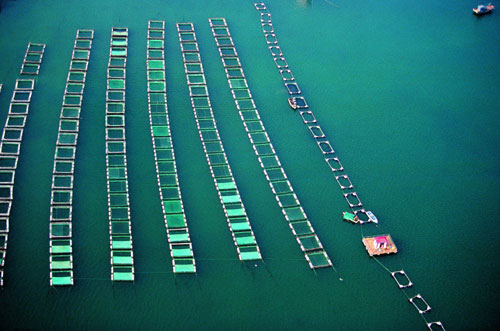 威海全力打造藍(lán)色經(jīng)濟(jì)區(qū)