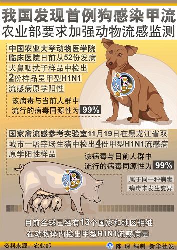 農(nóng)業(yè)部有關(guān)負(fù)責(zé)人就犬檢出甲流病毒情況答記者問