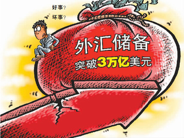 外匯儲(chǔ)備究竟是誰(shuí)的錢(qián)？能不能分？