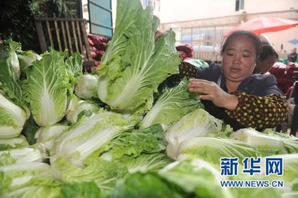 菜價猶如“過山車” 價格穩(wěn)定機(jī)制何去何從？