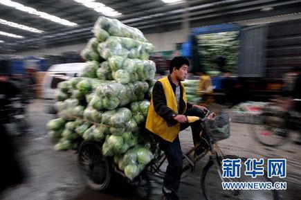 菜價(jià)猶如“過(guò)山車” 價(jià)格穩(wěn)定機(jī)制何去何從？