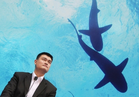 魚翅的“戰(zhàn)爭(zhēng)”：北京一天消費(fèi)一個(gè)億魚翅