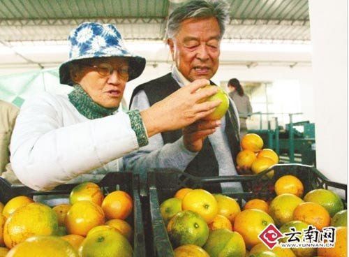 85歲褚時健赴北京賣橙 引發(fā)王石等感慨
