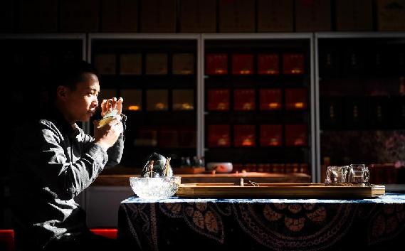 茶博會(huì)上過(guò)“茶癮”