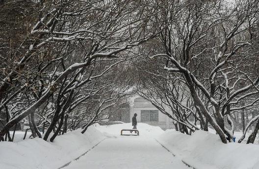 吉林省大部分地區(qū)遭遇大到暴雪 九成以上中小學(xué)已停課