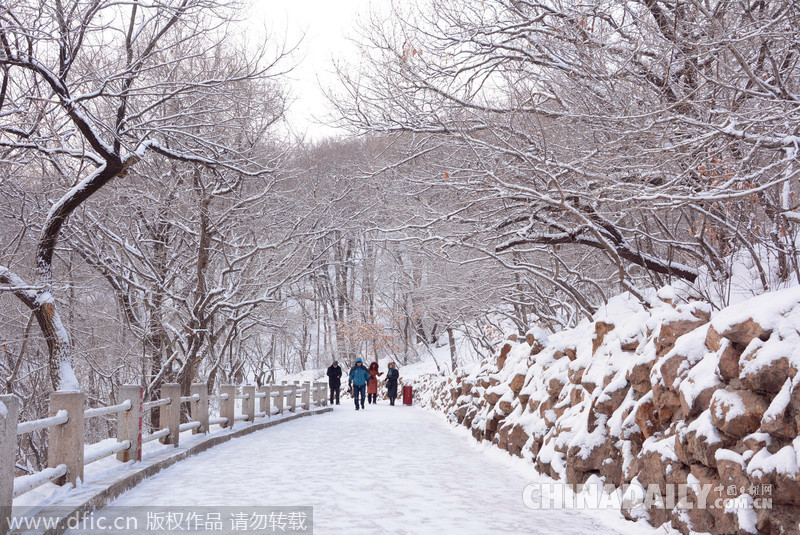 吉林迎來2015年首場大雪 氣象臺發(fā)布道路冰雪預警