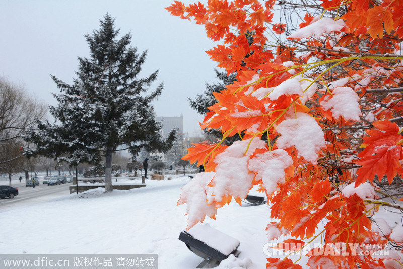 吉林迎來2015年首場(chǎng)大雪 氣象臺(tái)發(fā)布道路冰雪預(yù)警