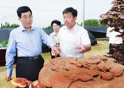 巴音朝魯：突出優(yōu)勢特色 加快縣域發(fā)展