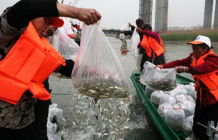 江蘇泰州放魚節(jié) 50萬尾魚種入長(zhǎng)江