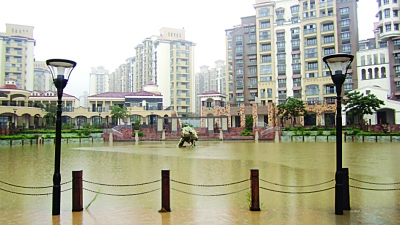 居民家中游來5斤重大魚 南京江北這場(chǎng)大雨太意外了