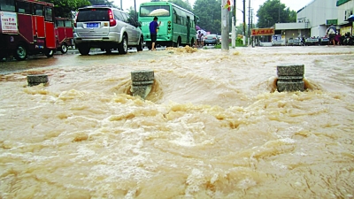 居民家中游來5斤重大魚 南京江北這場(chǎng)大雨太意外了