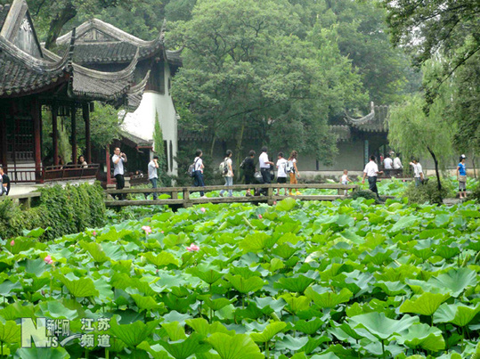 蘇州拙政園荷花旅游節(jié)開(kāi)幕