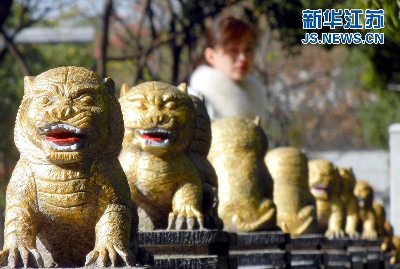 蘇州街頭驚現(xiàn)“土豪金”石獅子