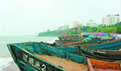 記者走基層:誰(shuí)動(dòng)了我們的海蜇？