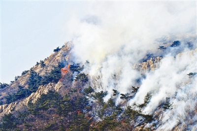 大連大黑山突發(fā)火災致5人死亡 300余人前往撲救