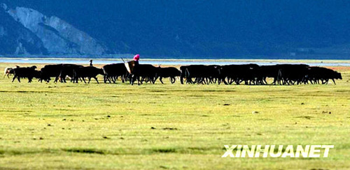 香格里拉：茶馬古道上的古集鎮(zhèn) 游人心中的世外桃源