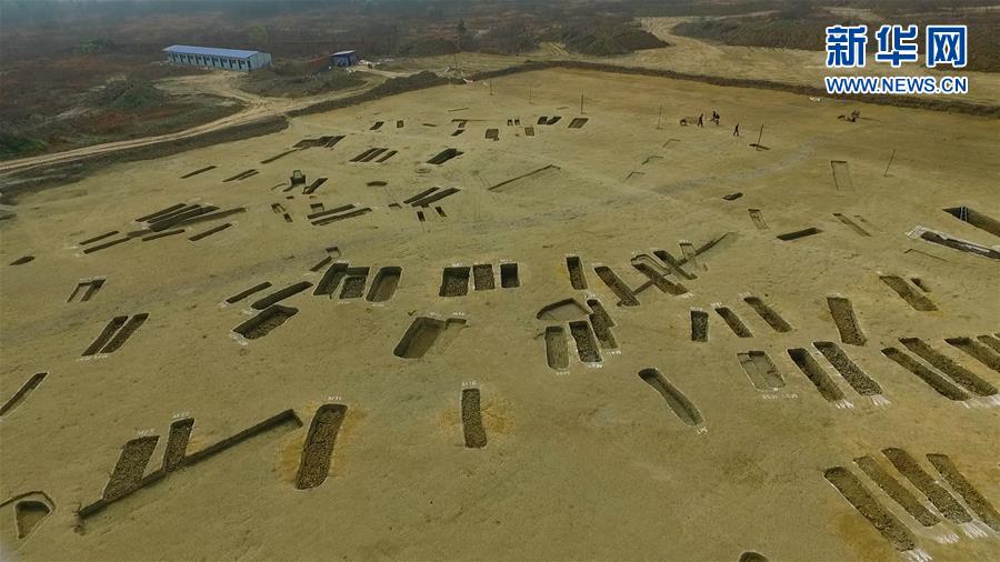 成都發(fā)現(xiàn)春秋戰(zhàn)國(guó)大型船棺墓群 如地下青銅器寶庫(kù)