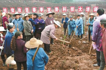探訪先行者 四川16個計(jì)劃摘帽縣取真經(jīng)