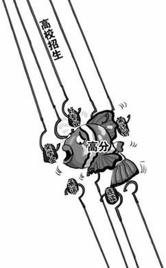 調(diào)查：超8成人認(rèn)為爭(zhēng)搶高分考生凸顯大學(xué)教育悖論