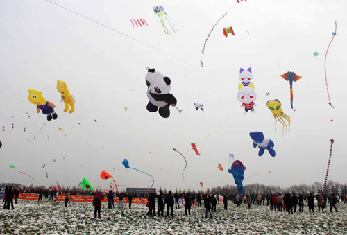第30屆濰坊國際風箏會開幕 海內(nèi)外風箏高手雪上競賽
